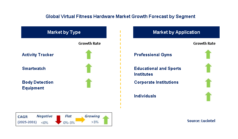 Virtual Fitness Hardware Market by Segment